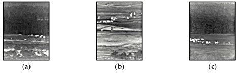 Mid-Infrared Sheep Segmentation in Highland Pastures Using Multi-Level ...