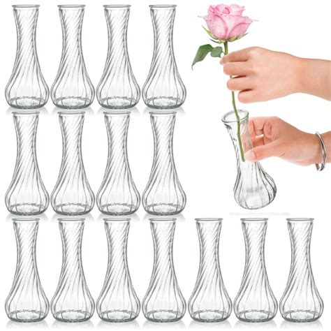 Amazon.com: Noamus 16 Pack Glass Bud Vase, Clear Small Flower Vases in ...