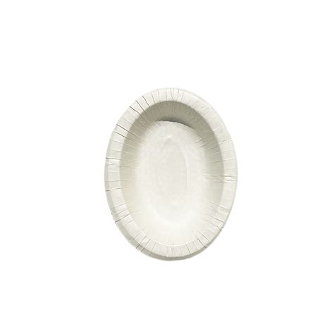 Oval Tray Disposable Plat