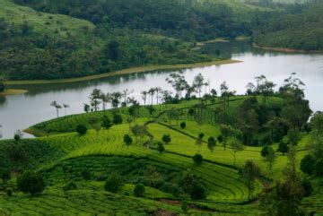 Experience 5 Days 4 Nights Munnar Holiday Package | munnar, thekkady ...