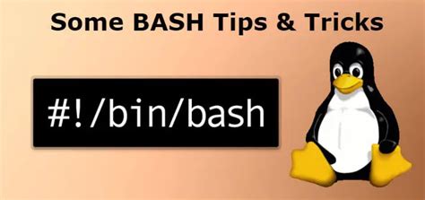 Bash Script Tricks 的图像结果