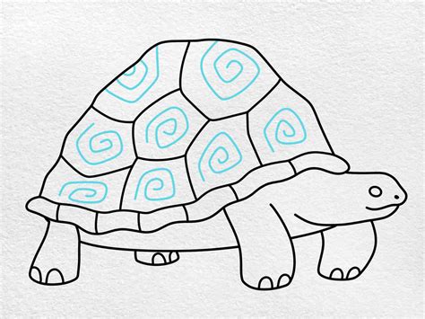 How to Draw a Tortoise - HelloArtsy