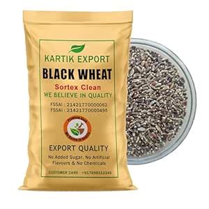 Kartik Export Whole Black Wheat Grains - Kala Gehu - Seeds for Eating ...