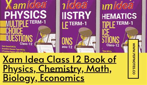 Image result for Xam Idea Economics Class 12