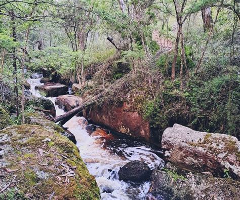 Sound Medicine Hike - The Sunset Series - Gembrook **Cancelled due to ...