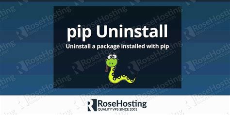 Image result for PIP Remove Package