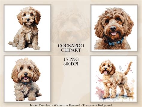 Image result for Cockapoo ClipArt