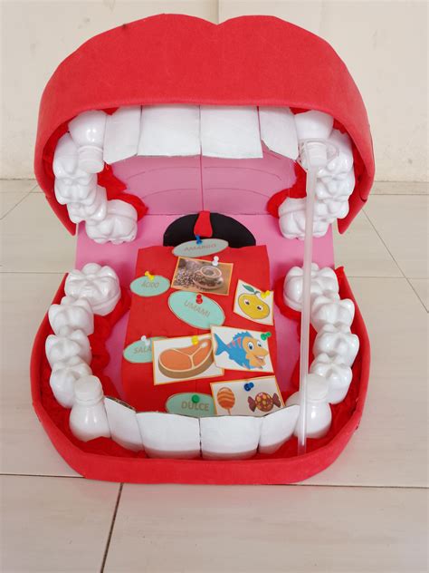 Maqueta | Maquetas para niños, Organos de los sentidos, Actividades 5 ...