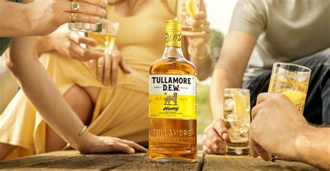 Tullamore DEW and Hendricks Gin Tasting, Bremer's Wine & Liquor, New ...