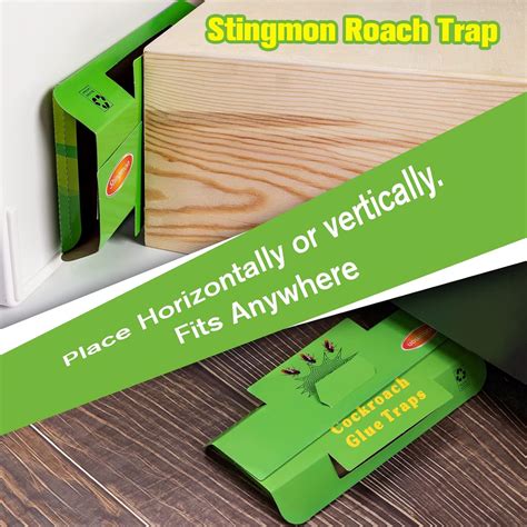 Buy 24 Pack Roach Traps Indoor, Roach Killer Indoor Infestation Glue ...