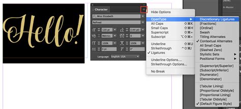 Image result for OpenType Features