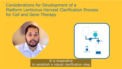 Gene Therapy Process Steps 的图像结果