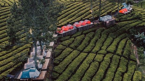 Wisata Nuansa Riung Gunung Pangalengan Bandung Hits 2024, Camping Ground Cocok Gunakan Tenda ...