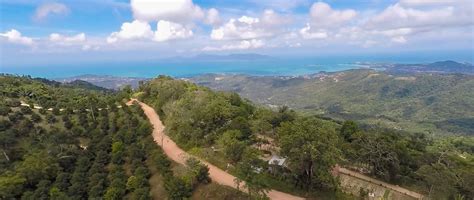 ทัวร์ซาฟารีรถจี๊ปป่าเต็มวันโดยรถจี๊ปสีขาว ไม่มีสัตว์