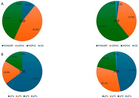 Urothelial Bladder Carcinoma in Young and Elderly Patients ...