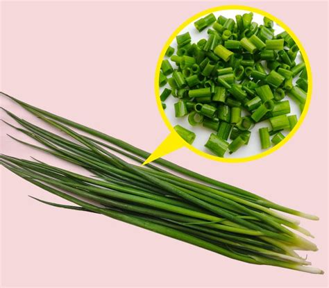 Qué clases de cebollas hay / Ideas En 5 Minutos