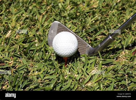 Golf Ball and Tee 的图像结果