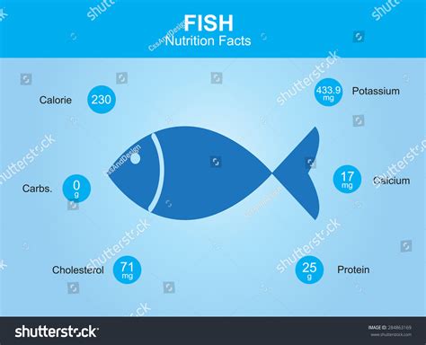 Fish Nutrition Facts Fish Information Fish Stock Vector (Royalty Free) 284863169