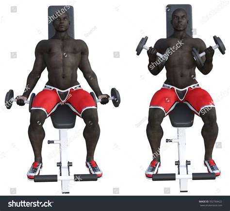 Incline Bench Dumbbell Curls