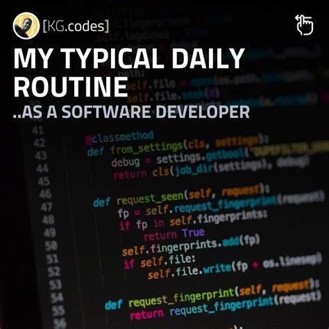 Software Developer Example 的图像结果