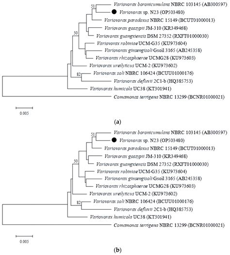 Characterization and Hydrocarbon Degradation Potential of Variovorax sp ...