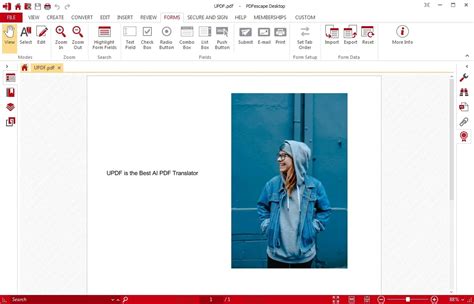 Image result for Create PDF Form