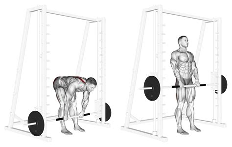 Can You Deadlift on a Smith Machine? Yes, Here's How - Inspire US