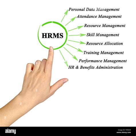 Image result for Basic Functions of Human Resource Management