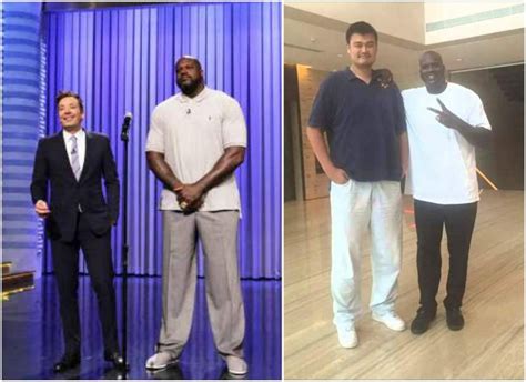 Understanding Shaquille O'Neal's Height: The Impact Of An NBA Giant