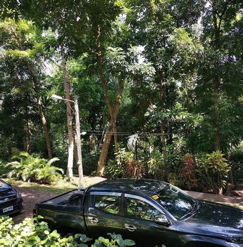 MANTANGALE ALIBUAG DIVE RESORT (Mindanao) - Specialty Resort Reviews ...