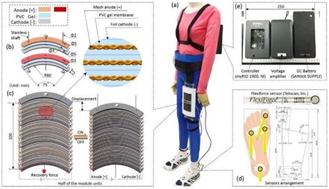 Image result for Artificial Muscle Based Robots