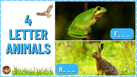 Spell the Animal Name | 4 Letter Word Spelling | Learn ABCs & English ...