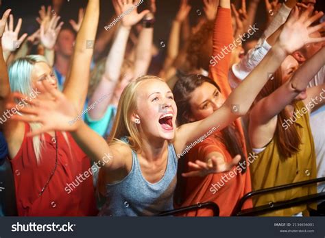 Concert Fans 的图像结果