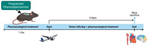 Interventions by Cardiovascular Drugs Against Aircraft Noise-Induced ...