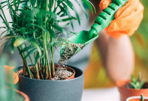 What Is 13-13-13 Fertilizer Good For | Storables