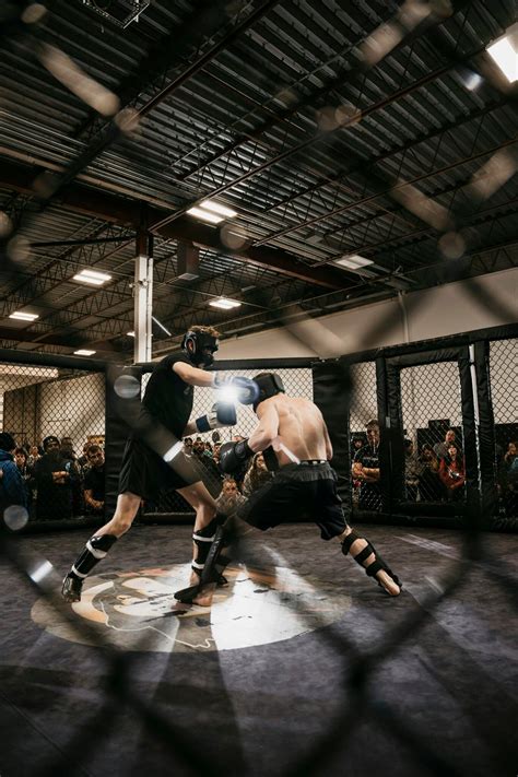 Tapology The Ultimate MMA Resource - Silicon Valley Times