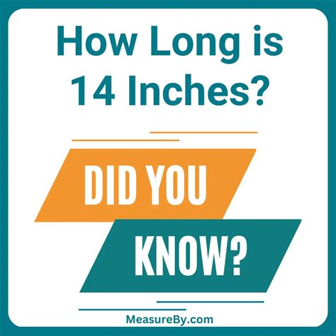How Long Is 14 Inches? (With 14 Examples)
