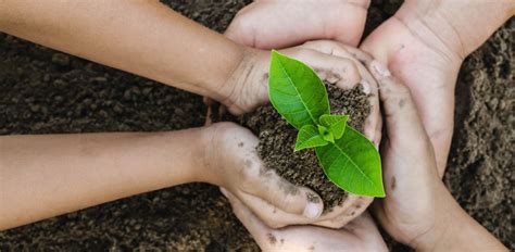 How Oetiker Is Reducing Its Carbon Footprint with the Help…