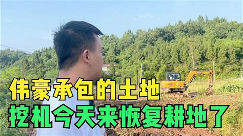 重庆开州：三承包户种植的“桂花树”被“强占”为何无赔偿？ - 知乎