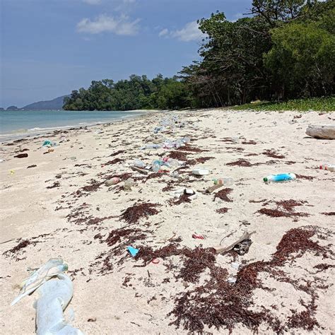 UMS ODEC beach (2026) - All You MUST Know Before You Go (with Reviews)