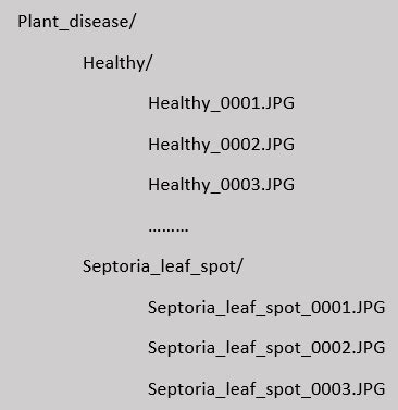 Plant Disease Classification Using CNN 的图像结果