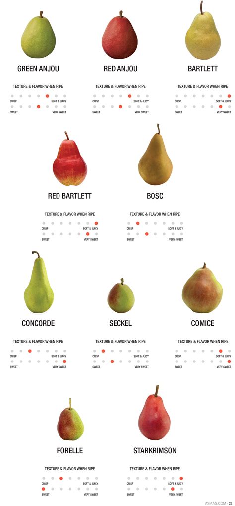 Different Types Of Pears In New Zealand at Kenneth Neilson blog