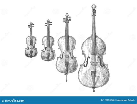 Bowed string instruments stock vector. Illustration of equipment ...