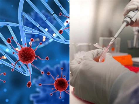 monkeypox in congo nine people died first infection in nigeria in 2022 ...