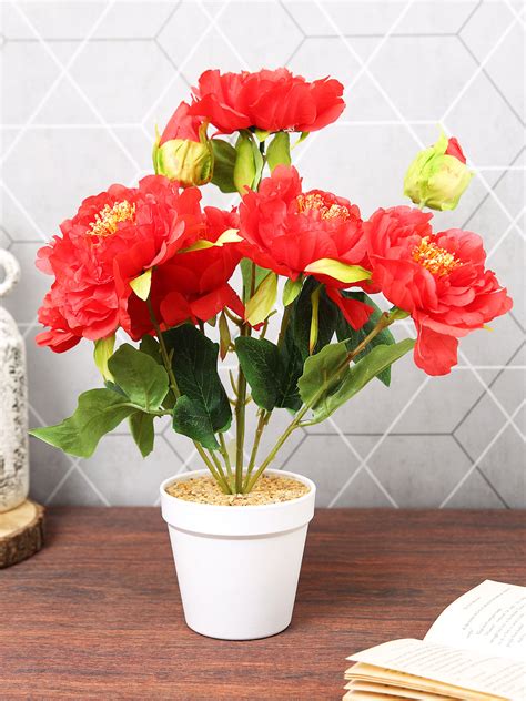 Buy | Red & Green Peony Flowers & Plant With Ceramic Pot | TIED RIBBONS ...