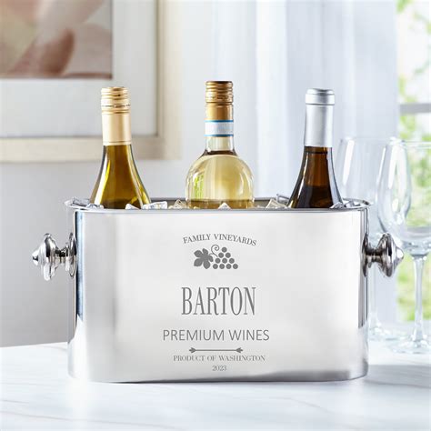 Deluxe Wines Personalized Stainless Steel Multi-Bottle Chiller at Gifts.com