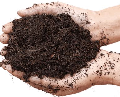 Fully Automatic Composting Machine In India