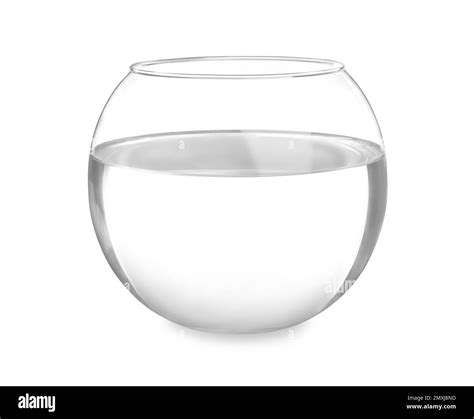 Glass A Fish Bowl at Ebony Butters blog