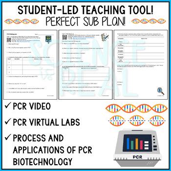 PCR Virtual Lab 的图像结果