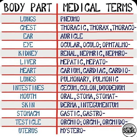 Pin by Artémis Kurogami on Autres | Nursing school tips, Medical ...